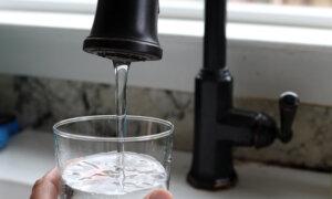 Hard to Pinpoint Link Between PFAS ‘Forever Chemicals’ and Cancer, Toxicologist Tells Inquiry